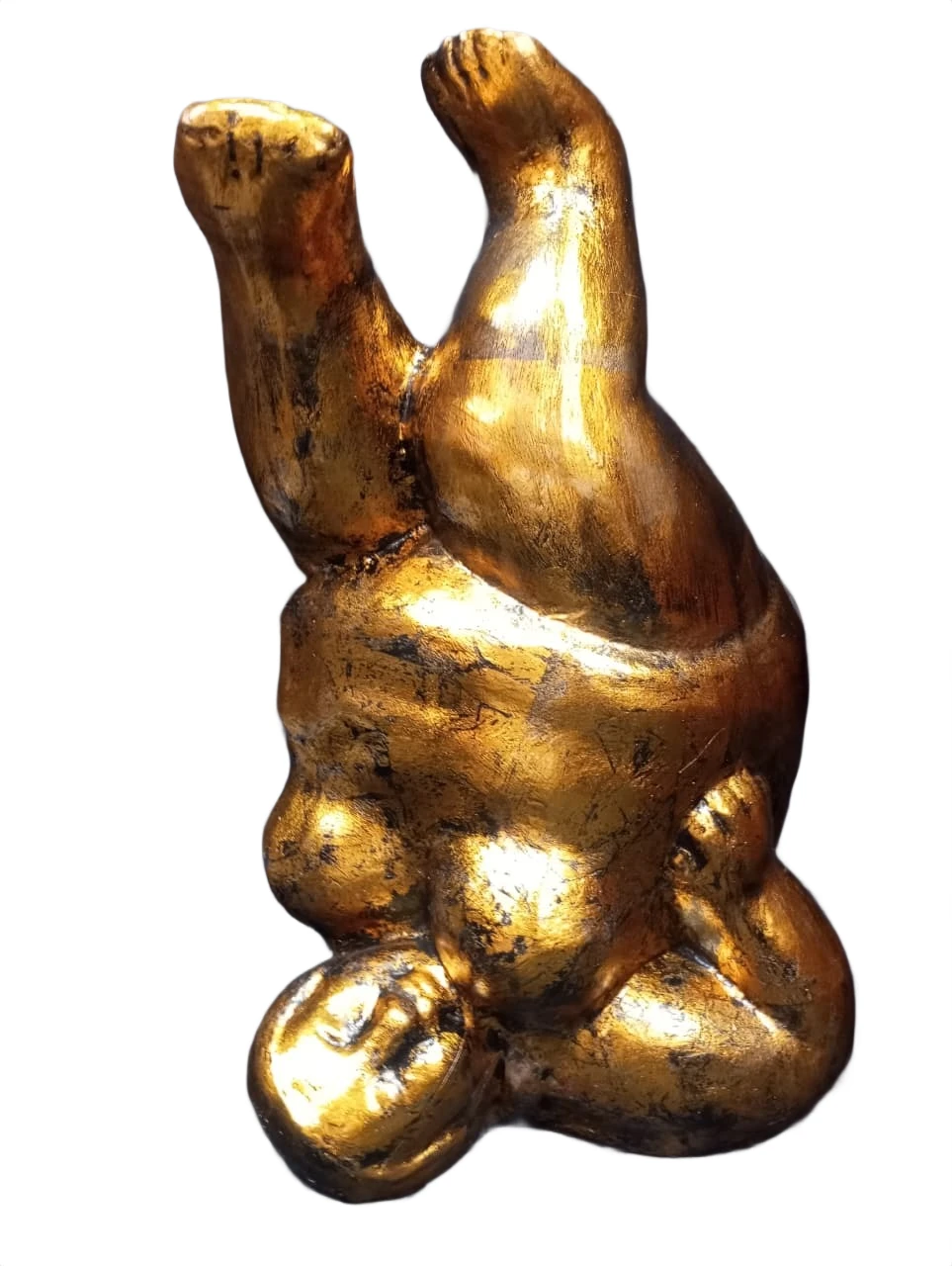 Nirava – Golden Sleeping Buddha